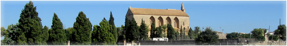 Inmobiliaria Alcudia