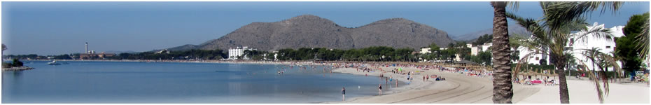 Inmobiliaria Alcudia